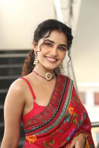 Tillu Square Actress Anupama Parameswaran Cute Saree Pics