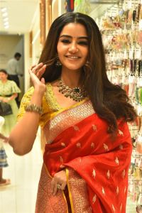 Actress Anupama Parameswaran in Silk Saree Stills