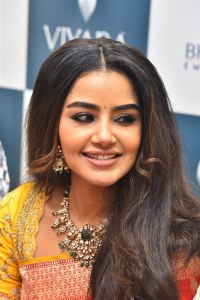 Actress Anupama Parameswaran in Silk Saree Stills