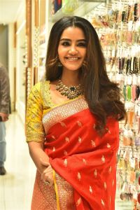 Actress Anupama Parameswaran in Silk Saree Stills