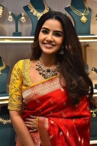 Actress Anupama Parameswaran in Silk Saree Stills