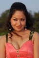 Anupoorva Hot Spicy Stills