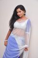 Telugu Actress Anusha Hot Photos in Transparent Saree