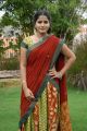 Telugu Actress Anusha in Half Saree Photos