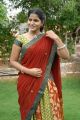 Telugu Actress Anusha in Half Saree Photo Shoot Stills