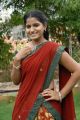 Telugu Actress Anusha in Half Saree Photo Shoot Stills