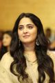 Anushka 15 Years Film Journey Celebrations Photos