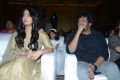 Actress Anushka Shetty 15 Years Film Journey Celebrations Photos