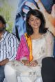 Actress Anushka at Dhamarukamm Success Meet Photos
