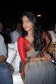 Telugu Actress Anushka New Saree Photos