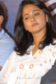 Actress Anushka Latest Cute Stills at Mirchi Movie Success Meet