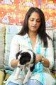 Anushka at Pedigree Blue Cross Pet Carnival 2014 Press Meet Stills