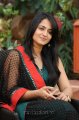 Anushka Latest Cute Photos Stills