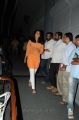 Anushka Cute Pictures at Singam 2 Trailer Launch