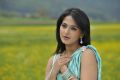 Damarukam Movie Actress Anushka Hot Stills