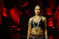 Telugu Actress Anushka Hot in Black Dress Photos