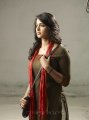 Anushka New Photo Shoot Stills