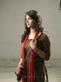 Anushka New Photo Shoot Stills