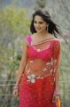 Actress Anushka in Saree Hot Photos in Damarukam Movie