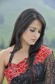 Beautiful Anushka Shetty in Saree Photos from Damarukam Movie