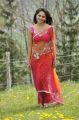 Actress Anushka Hot Saree Stills in Damarukam Movie
