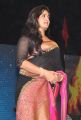 Actress Anushka Shetty Saree Pics @ Rudramadevi Audio Release