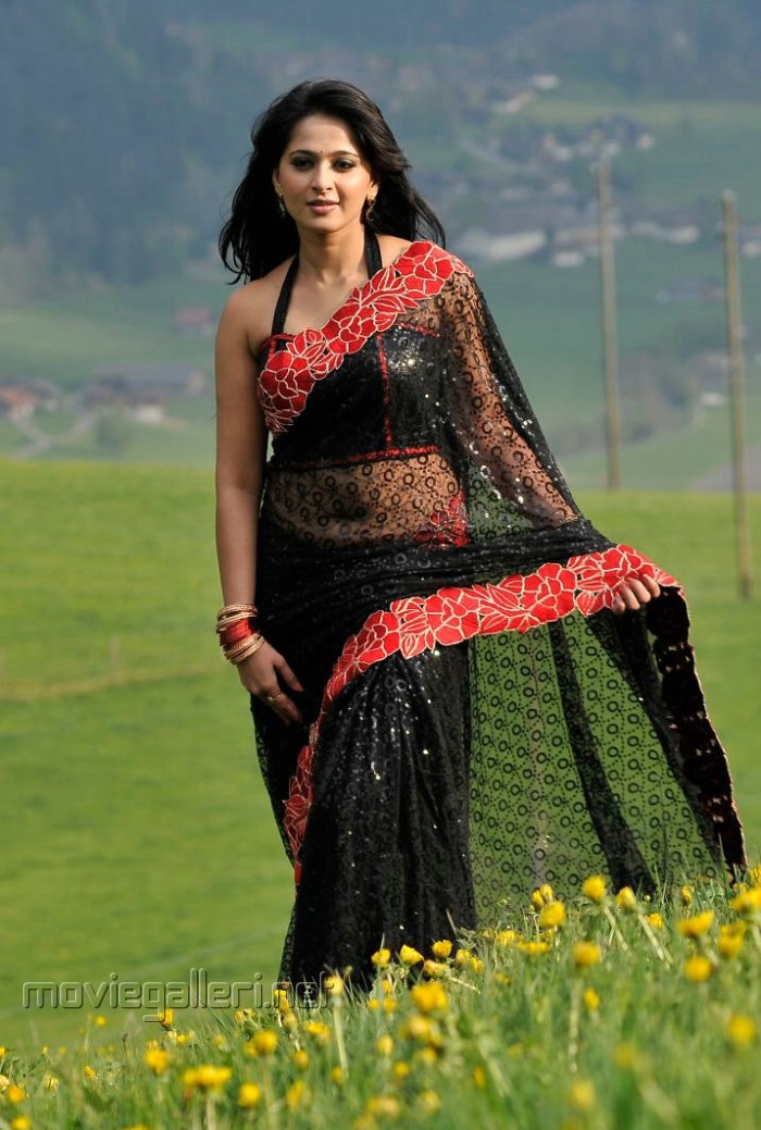 Anushka Shetty Hot Black Saree Pics in Damarukam Movie New M