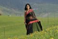 Actress Anushka Shetty Hot Transparent Black Saree Pics
