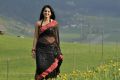 Damarukam Actress Anushka Shetty Hot Black Saree Pics