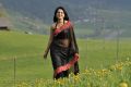 Damarukam Heroine Anushka Shetty in Black Saree Hot Pics