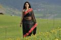 Acterss Anushka Shetty Spicy Hot Black Saree Pictures