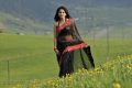 Anushka Hot Black Saree Photos in Damarukam Movie