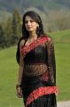 Acterss Anushka Shetty Spicy Hot Black Saree Pictures