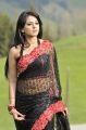 Anushka Shetty Hot Black Saree Pics in Damarukam Movie