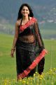 Damarukam Anushka Shetty Hot Black Saree Pics