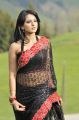 Anushka Shetty in Black Saree Hot Pics in Damarukam Movie
