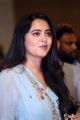 Actress Anushka Cute Photos @ HIT Movie Pre-Release