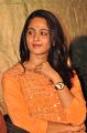 Telugu Actress Anushka Shetty Latest Cute Pics