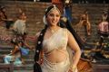 Actress Anushka Hot Stills in Rudhramadevi Movie