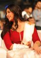 Actress Anushka Shetty Saree Photos at Baahubali 2 Pre Release