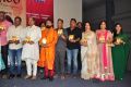 Anushtanam Movie Audio Launch Stills