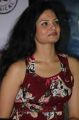 Tamil Actress Anuya at Naan Movie Press Meet