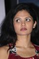 Cute Anuya Bhagvath Photos at Naan Press Meet