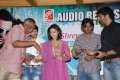 Anwar Audio Launch Stills