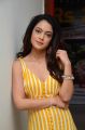 Actress Anya Singh Stills @ Ninu Veedani Needanu Nene Thanks Meet