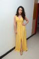 Actress Anya Singh Stills @ Ninu Veedani Needanu Nene Movie Thanks Meet