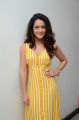 Ninu Veedani Needanu Nene Actress Anya Singh Stills