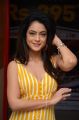 Ninu Veedani Needanu Nene Actress Anya Singh Stills