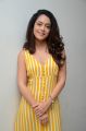 Actress Anya Singh Stills @ Ninu Veedani Needanu Nene Thanks Meet