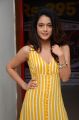 Ninu Veedani Needanu Nene Heroine Anya Singh Stills